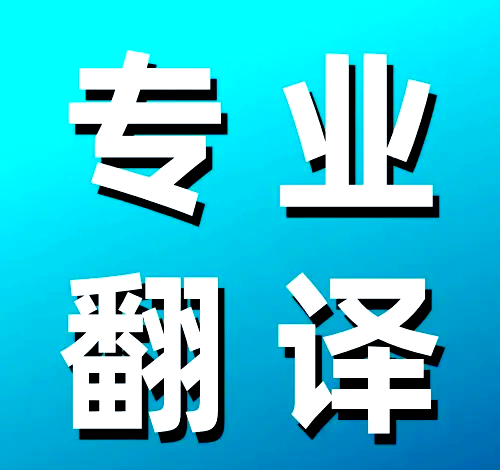 专业翻译服务，轻松解决签证难题