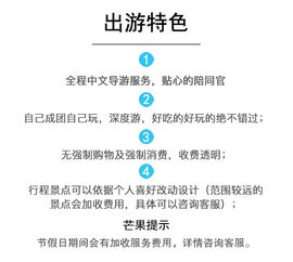 泰国曼谷芭提雅地陪导游 您的贴心翻译与安全守护者